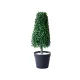 Műnövény gúla buxus cserépben kicsi, 64 cm