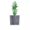 Kaspó TUBO P BETON EFFECT 39cm, beton szürke (DPOP400E/422U)