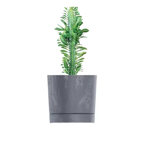 Kaspó TUBO P BETON EFFECT 39cm, beton szürke (DPOP400E/422U)