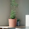 Kaspó TUBO P BETON EFFECT 39cm, terracotta (DPOP400E/R624)