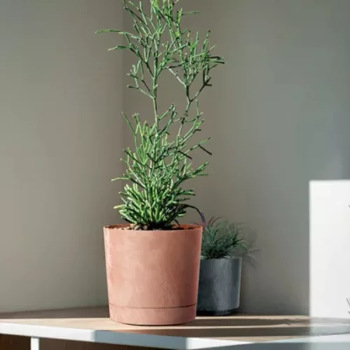 Kaspó TUBO P BETON EFFECT 39cm, terracotta (DPOP400E/R624)