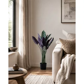 Műnövény Calathea Setosa violet 110 cm 