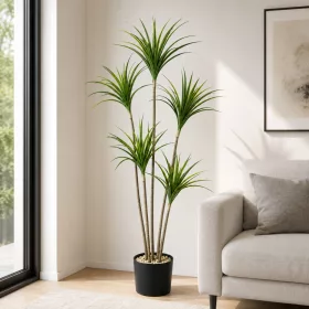 Műnövény Yucca pálma 5 törzses 150 cm