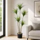 Műnövény Yucca pálma 5 törzses 150 cm