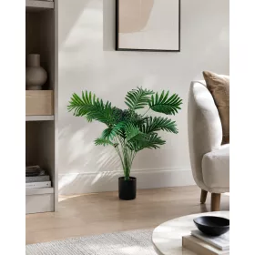 Műnövény Areca pálma 70 cm