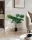 Műnövény Areca pálma 70 cm