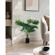 Műnövény Areca pálma 70 cm