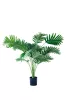 Műnövény Areca pálma 70 cm