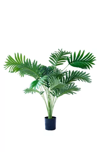Műnövény Areca pálma 70 cm