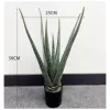 Műnövény Aloe Vera 50 cm