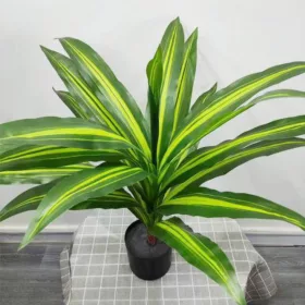 Műnövény világoszöld levelű Dracéna 90 cm