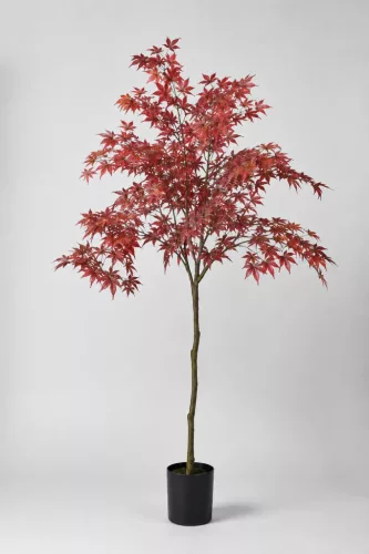 Műnövény vörös japán juharfa 150 cm