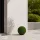 Műnövény buxus gömb 20 cm