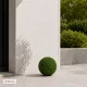 Műnövény buxus gömb 20 cm