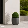 Műnövény buxus gömb 20 cm