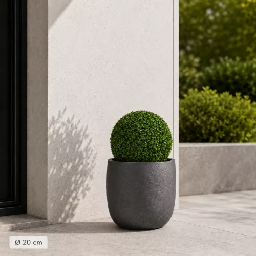 Műnövény buxus gömb 20 cm