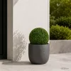 Műnövény buxus gömb 30 cm