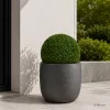 Műnövény buxus gömb 40 cm