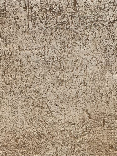 Fatörzs Madáritató Bézs (JOVN10/Bézs)