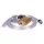 RGB Csillagos égbolt szaunaszett 150db 3000x1mm (T0401-114)