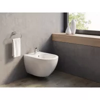 WC-k és bidék